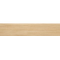 ALESSANDRIA ARCE 20x120