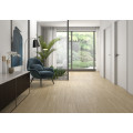 ALESSANDRIA ARCE 20x120