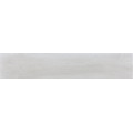 TRUNK BLANCO 23x120