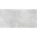 MONS LIGHT GRAY 30x60 - matný povrch
