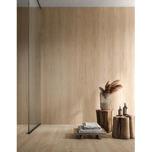 OUDH JINKOH OU 03 20x120