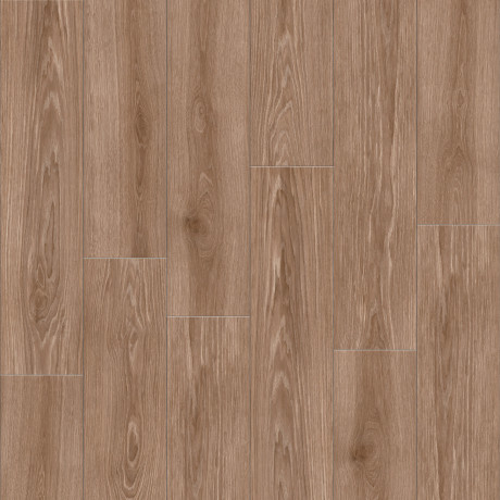 OUDH LAOS OU 05 20x120