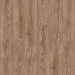 OUDH LAOS OU 05 20x120