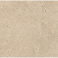 ELYSIAN GOLD CATALAN EY 09 120x120 - jemne matný povrch R9