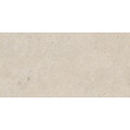 ELYSIAN BEIGE CATALAN EY 03 60x120 - jemne matný povrch R9