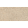 ELYSIAN GOLD CATALAN EY 09 60x120 - jemne matný povrch R9