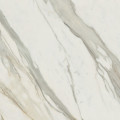 Cosmopolitan Calacatta Gold 120×120 – Mirage, biela leštená gresová dlažba