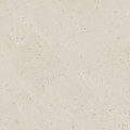 STRONG TONES WHITE SHELLSTONE TONES 2779 KS00 120x120 - matný povrch