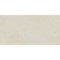 STRONG TONES  WHITE SHELLSTONE 2521 KS00 30x60 - zvýšený protišmyk R11