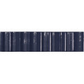 VOLUME OCEAN BRILLO 6x25