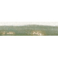 BOUBLES GREEN BRILLO 6x25
