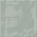 SWITCH SAGE BRILLO 13x13