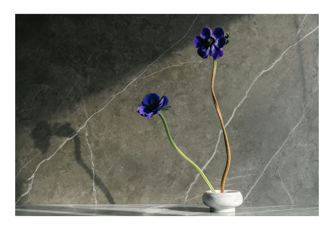 10 dôvodov, prečo si vybrať veľkoformátovú dlažbu